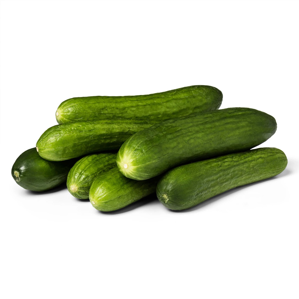 Cucumber Indina