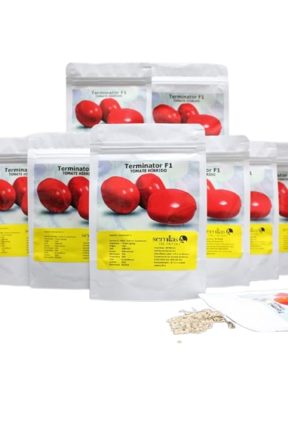 Semilla de Tomate Terminator F1